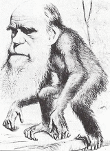 ダーウィンの進化論の戯画